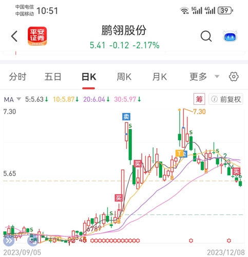 鵬翎股份最新消息全面解讀，鵬翎股份最新消息全面解讀與分析