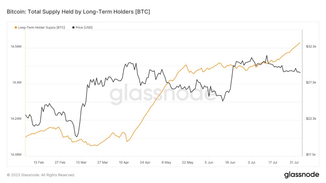 BTC最新價(jià)格行情分析，BTC最新價(jià)格行情解析