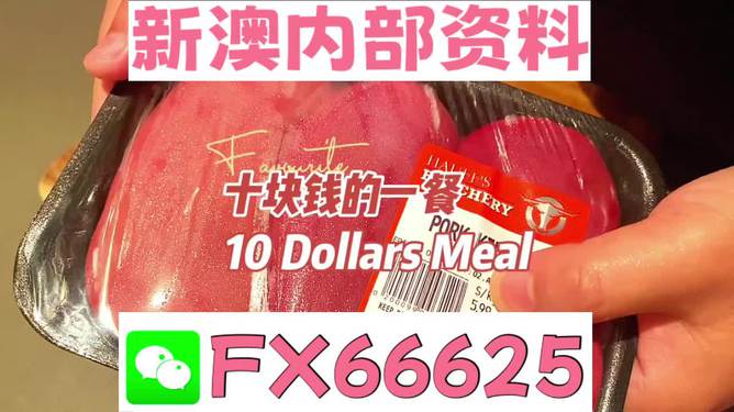 關(guān)于新澳全年免費(fèi)資料大全的警示與探討，新澳全年免費(fèi)資料大全，警示與探討