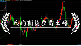 澳門4949最快開獎(jiǎng)直播今天,經(jīng)典解答解釋定義_精英版66.247