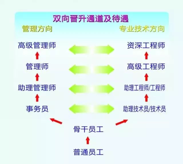 立訊精密最新招聘信息概覽，立訊精密最新招聘信息全面解析