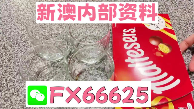 澳門正版資料免費大全新聞——警惕違法犯罪風(fēng)險，澳門正版資料免費大全新聞需警惕潛在違法犯罪風(fēng)險