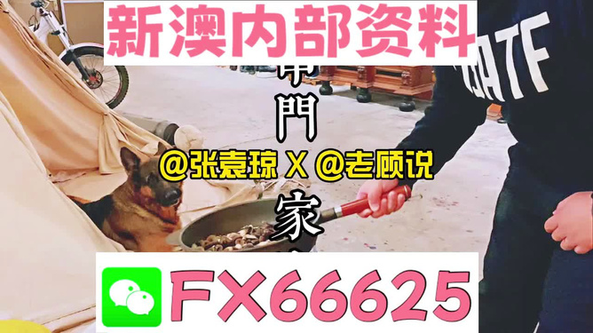 管家婆免費資料大全公開，探索與解析，管家婆免費資料大全揭秘，探索與解析