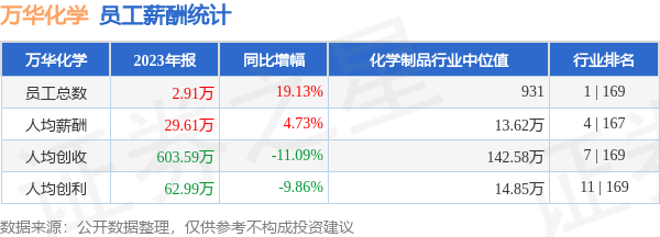 萬(wàn)華公司職工工資表詳解，萬(wàn)華公司職工工資表全面解析