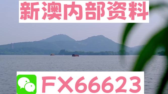 揭秘新澳精準(zhǔn)資料大全背后的真相，警惕違法犯罪風(fēng)險(xiǎn)，揭秘新澳精準(zhǔn)資料背后的真相與犯罪風(fēng)險(xiǎn)警示