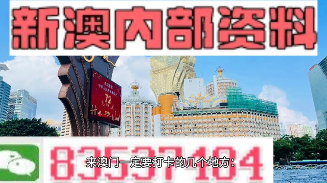 澳門精準(zhǔn)正版免費(fèi)大全14年新，揭示背后的犯罪問題，澳門精準(zhǔn)正版犯罪問題揭秘，揭露背后的犯罪現(xiàn)象