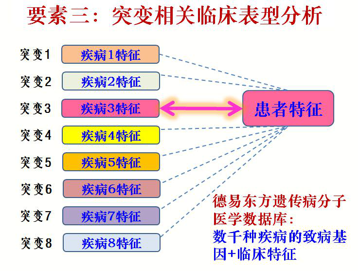 臺塑石化倒閉原因分析，臺塑石化倒閉原因深度解析