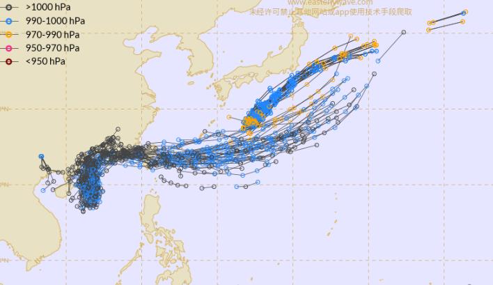 今年二號臺風(fēng)最新消息及其影響分析，今年二號臺風(fēng)最新動態(tài)及其影響深度解析