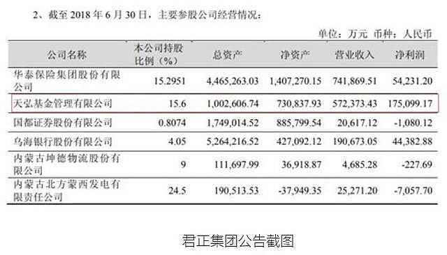 君正集團(tuán)未來估值，展望與預(yù)測