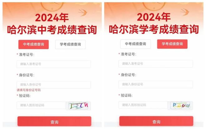 2024新澳最新開獎結果查詢——掌握彩票動態(tài)的必備指南，掌握彩票動態(tài)必備指南，2024新澳最新開獎結果查詢