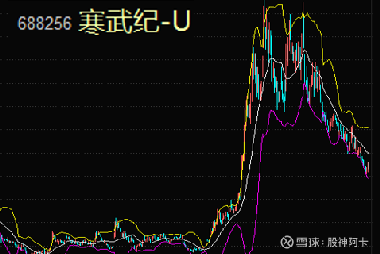 寒武紀(jì)重組最新消息，引領(lǐng)科技變革的新篇章，寒武紀(jì)重組引領(lǐng)科技變革新篇章，最新消息揭秘