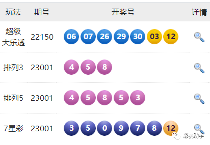 新澳門六開彩開獎結(jié)果2020年回顧與展望，澳門六開彩開獎結(jié)果回顧與展望，2020年回顧與未來展望