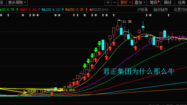 君正云通，一只10倍牛股的成長之路，君正云通，牛股成長之路揭秘，邁向十倍增長之路