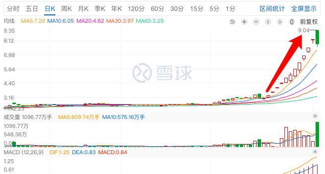 君正集團(tuán)，是妖股還是價(jià)值投資之選？，君正集團(tuán)，價(jià)值投資還是妖股之爭(zhēng)？