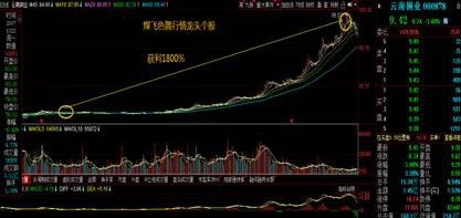 威爾泰股吧，探索企業(yè)潛力與機(jī)遇的舞臺(tái)，威爾泰股吧，企業(yè)潛力與機(jī)遇的探索舞臺(tái)