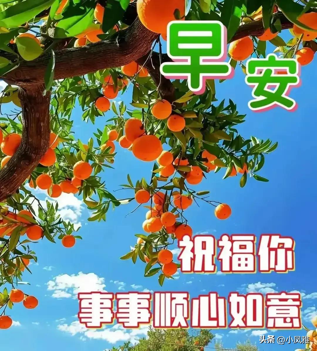 2024天天彩正版資料大全,科學(xué)數(shù)據(jù)評估_The19.620