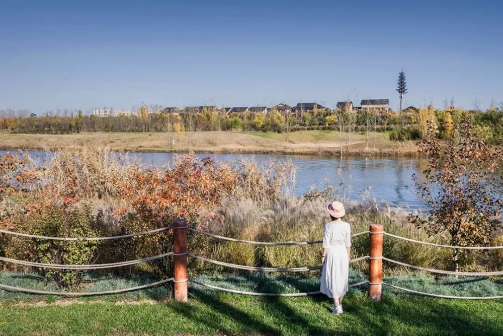 西安最新濕地公園，生態(tài)與文化的完美融合，西安最新濕地公園，生態(tài)與文化的和諧共融