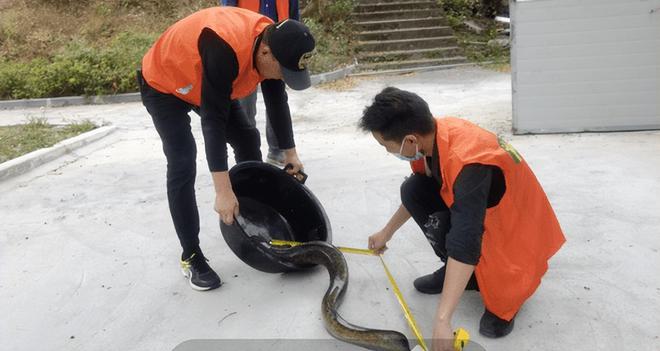 男子撞死二級保護動物被判賠1.5萬，法律對野生動物保護的警示，男子撞死二級保護動物獲判賠1.5萬，法律對野生動物保護的嚴肅警示