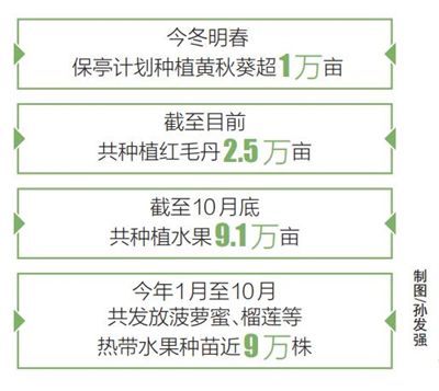 警惕二肖四碼中特期期準一肖——揭露背后的風險與犯罪問題，警惕二肖四碼中特期期準一肖背后的風險與犯罪陷阱揭秘