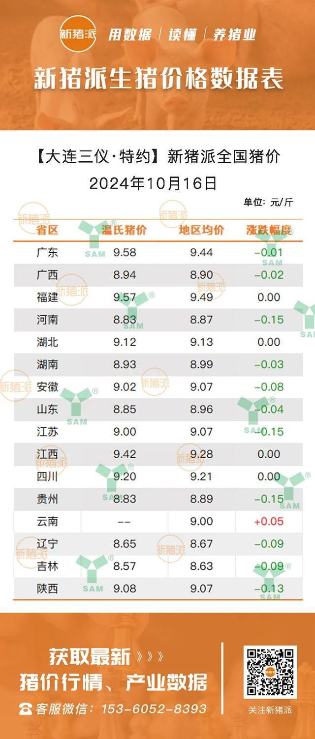 最新仔豬市場行情分析，最新仔豬市場行情深度解析