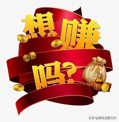 一天賺500，如何實(shí)現(xiàn)你的收入目標(biāo)，一天賺500，實(shí)現(xiàn)你的收入目標(biāo)指南