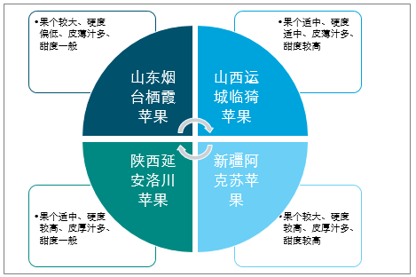 陜西蘋果產(chǎn)業(yè)全產(chǎn)業(yè)鏈深度解析，陜西蘋果產(chǎn)業(yè)全產(chǎn)業(yè)鏈深度探究