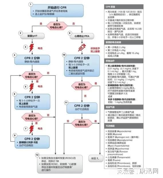 最新CPR（心肺復(fù)蘇術(shù)）流程詳解，最新CPR（心肺復(fù)蘇術(shù)）流程全面解析