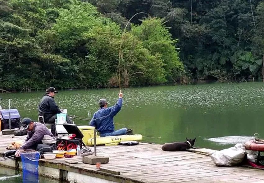 釣魚圈的奇事趣聞，釣魚圈里的奇聞趣事