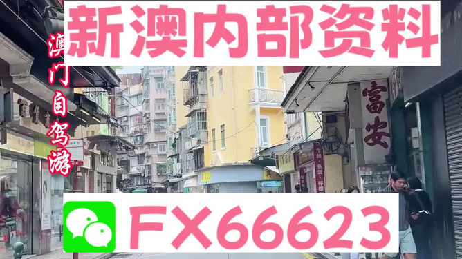 新澳正版資料免費(fèi)提供，助力個(gè)人與企業(yè)的成長(zhǎng)與發(fā)展，新澳正版資料助力成長(zhǎng)與發(fā)展，個(gè)人與企業(yè)的免費(fèi)資源寶庫(kù)