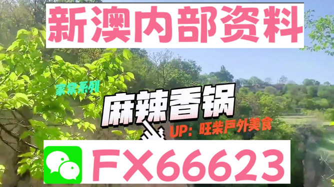 新澳精準(zhǔn)資料免費(fèi)提供的深度解析，新澳精準(zhǔn)資料深度解析，免費(fèi)提供的內(nèi)幕揭秘