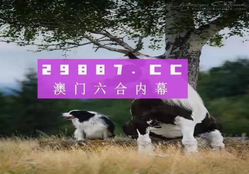 澳門今晚開特馬四不像圖——探索澳門彩票的奧秘，澳門彩票奧秘探索，特馬四不像圖今晚揭曉