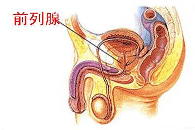 前列腺自我按摩手法圖解，一種有效的自我保健方法，前列腺自我按摩手法圖解，有效保健新方法！