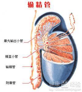 男性結(jié)扎手術費用多少，全面解析費用構(gòu)成與影響因素，男性結(jié)扎手術費用詳解，構(gòu)成、影響因素全解析