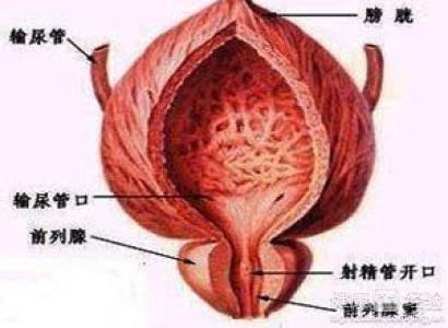 如何按摩男性前列腺，一種健康護(hù)理的指南，男性前列腺按摩指南，健康護(hù)理的秘訣