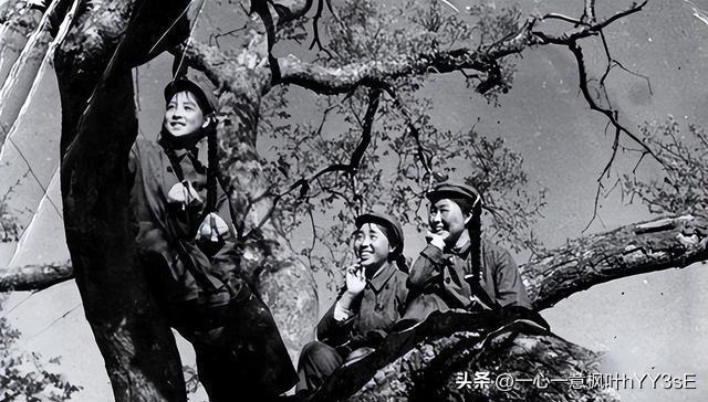 探索女兵報(bào)名入口官網(wǎng)，2023年的機(jī)遇與挑戰(zhàn)，女兵報(bào)名入口官網(wǎng)探索，2023年的機(jī)遇與挑戰(zhàn)揭秘