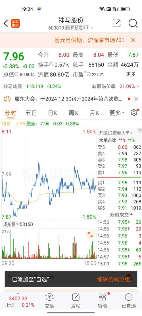 神馬股份（股票代碼，600810）股吧深度解析，神馬股份（股票代碼，600810）股吧全面深度解析